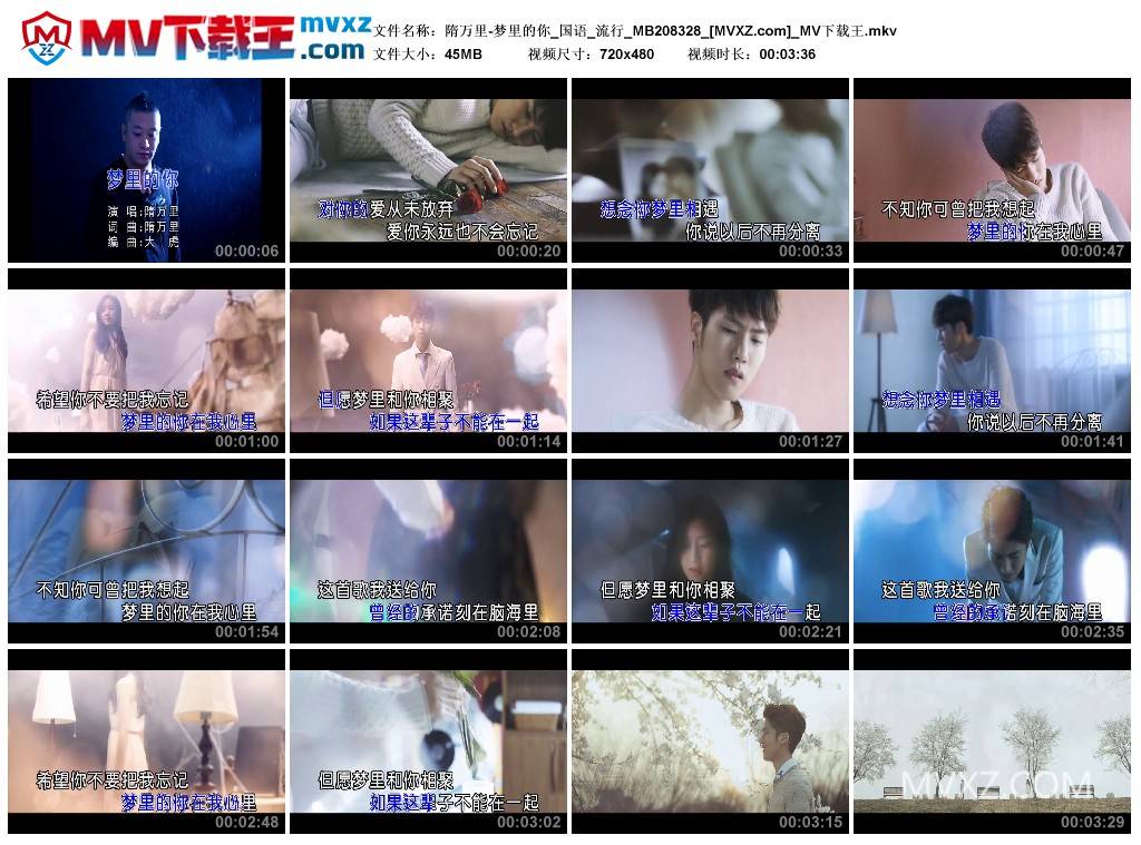 隋万里-梦里的你_国语_流行_MB208328